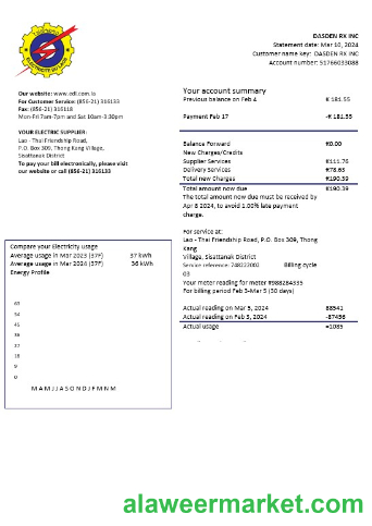 Laos Electricite du Laos electricity business utility bill template in Word and PDF formats
